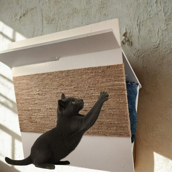 Custom Birch Wood Pet Teepee – Cat or Small Dog Bed Tent | Indoor Pet House | - Picture 6 of 7